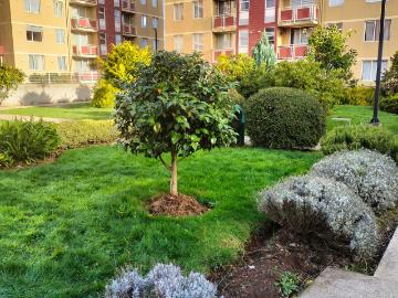 en VILLARRICA