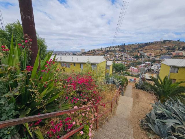 en VIÑA DEL MAR