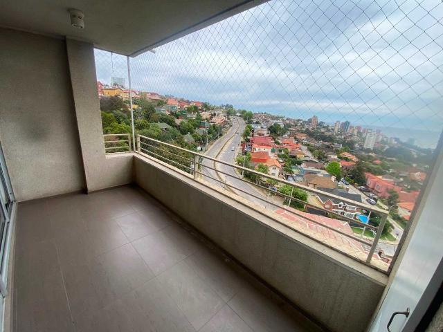 En viña del mar