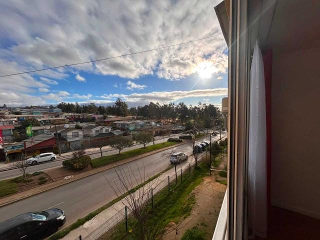 En viña del mar