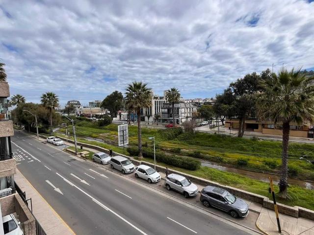 En viña del mar