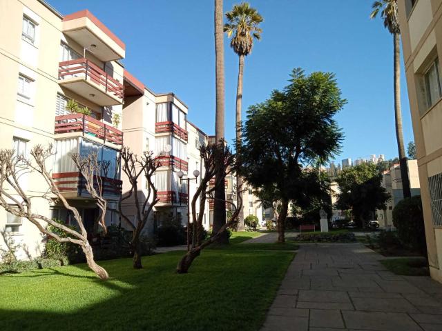 en VIÑA DEL MAR