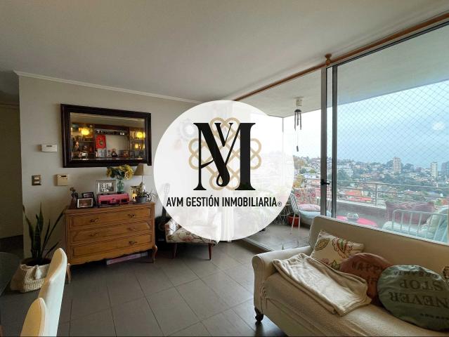 en VIÑA DEL MAR