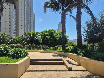 en VIÑA DEL MAR