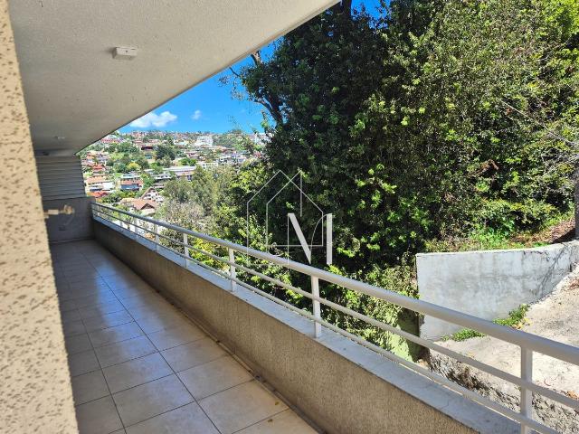 En viña del mar