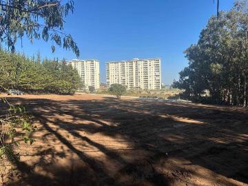 en ALGARROBO