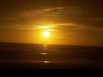 en ALGARROBO