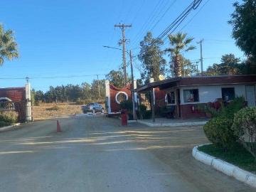 en ALGARROBO