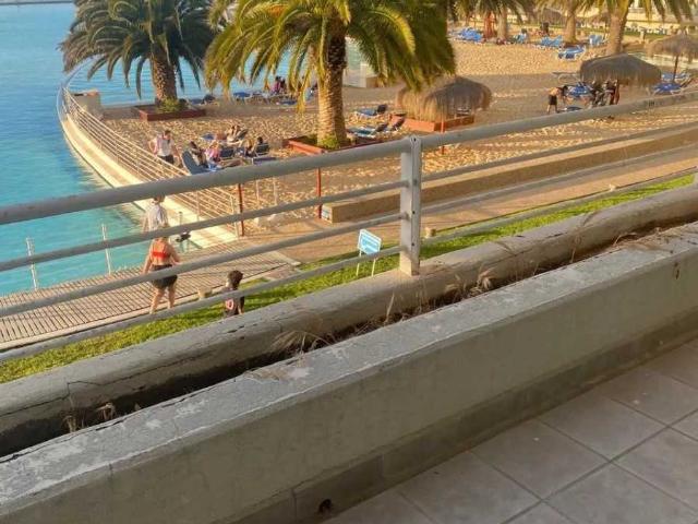 en ALGARROBO