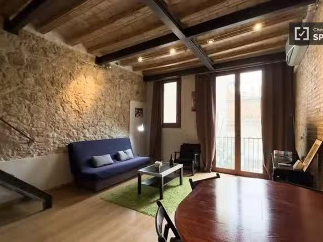 Bonito Estudio en alquiler en El Raval, Barcelona