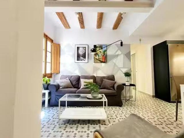 Acogedor Piso de 1 habitación en Carrer de la Ciutat, El Gòtic