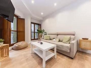Acogedor Piso de 1 habitación en Gijón