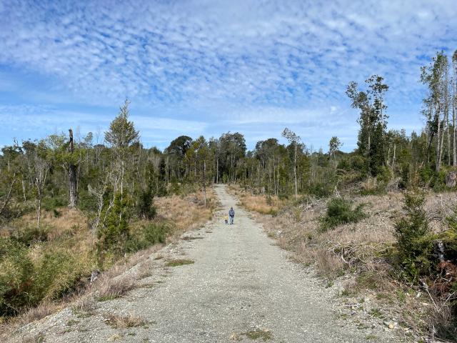 en ANCUD