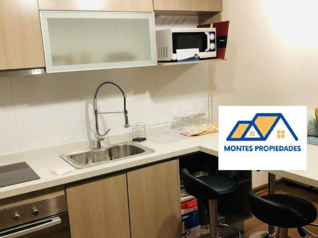 EN ARRIENDO EXCELENTE DEPARTAMENTO AMOBLADO, SECTOR MIRAFLORES!
