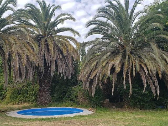 en BUIN