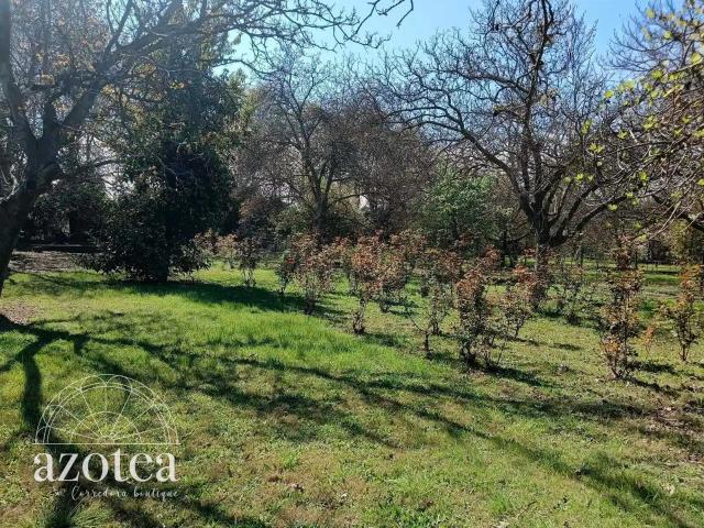 en BUIN