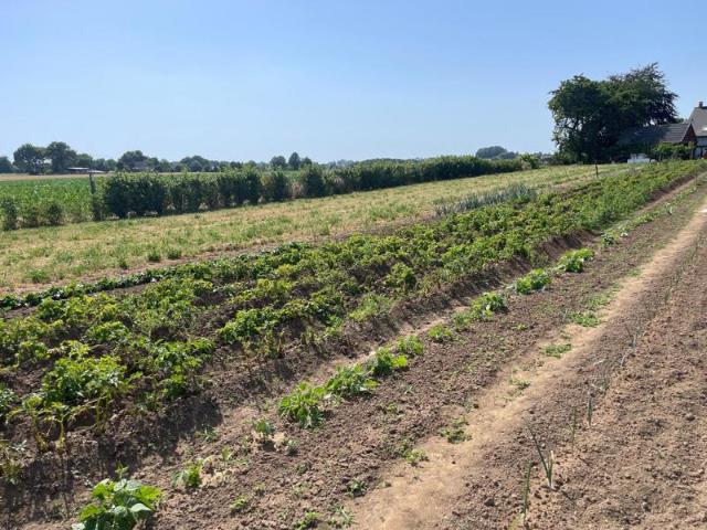 En campagne