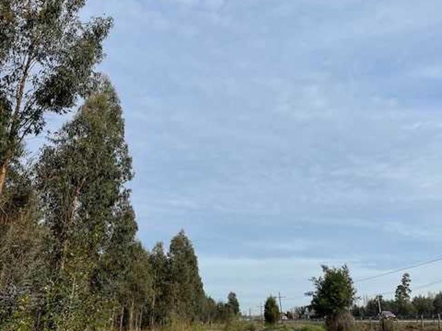 en CABRERO