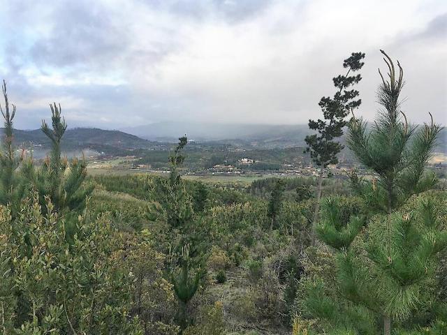 en CAUQUENES