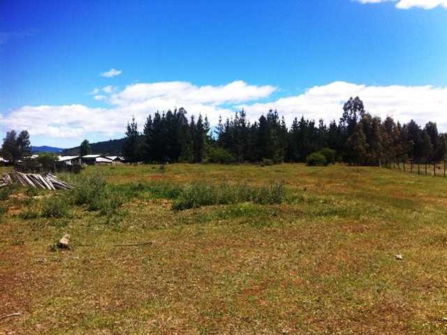 en CAUQUENES