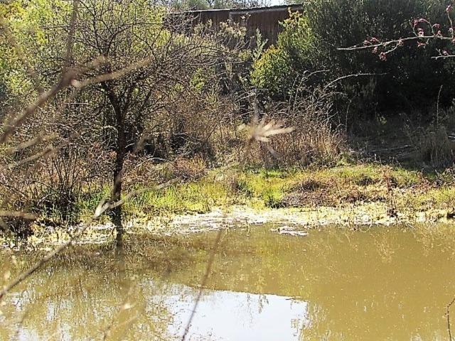 en CAUQUENES