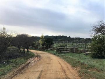 en CAUQUENES