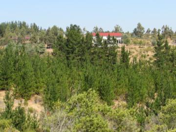 en CAUQUENES