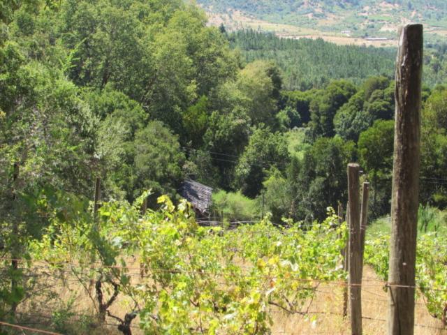 en CAUQUENES