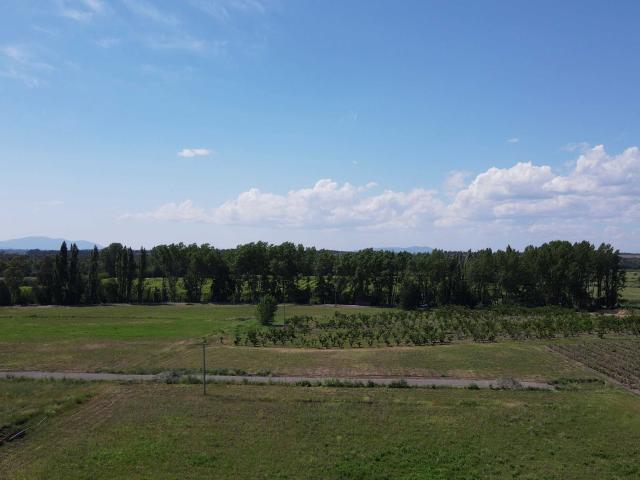 en CHILLÁN