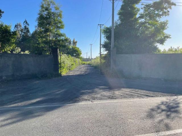 en CHILLÁN
