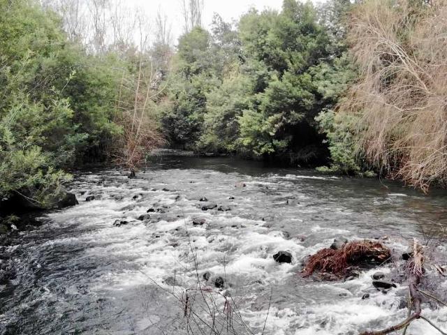 en CHILLÁN