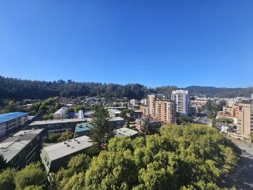 en CONCEPCIÓN