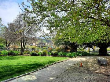 en COLINA