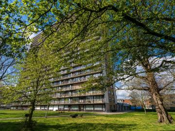 2610, Wilrijk, Province de Anvers, Flandre