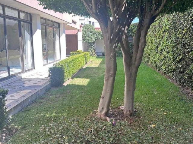 EN COLONIA POLANCO CON GRANDES ESPACIOS