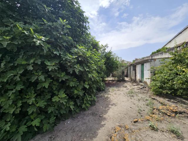 EN EXCLUSIVA CASA CON PARCELA EN EL TEJAR¡