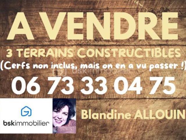EN EXCLUSIVITE