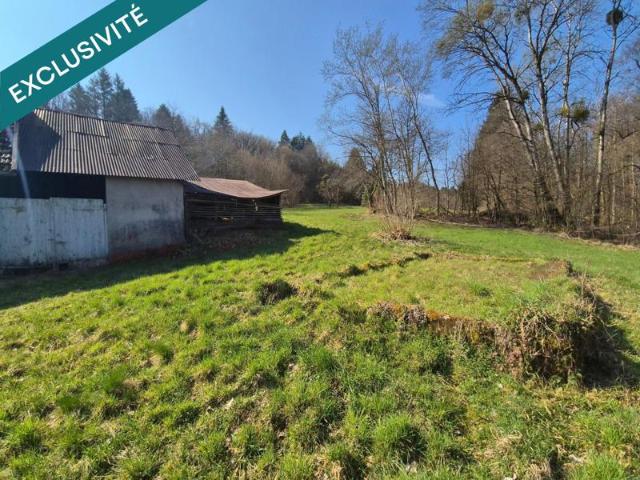 En exclusivité, Ferme à rénover avec 2 hectars de prairies et forêts !