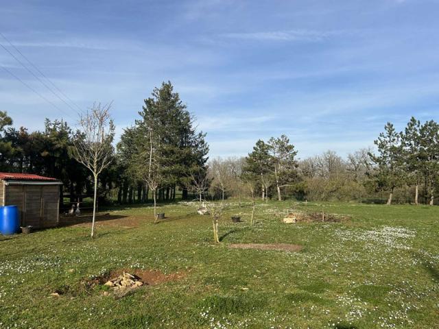En exclusivité, maison 100 m², 3 chambres, 12000 m² terrain
