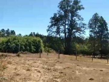 Población Chiloé, Provincia de Llanquihue, Región de Los Lagos