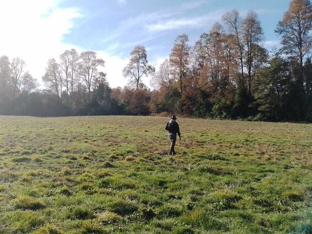 en FRUTILLAR