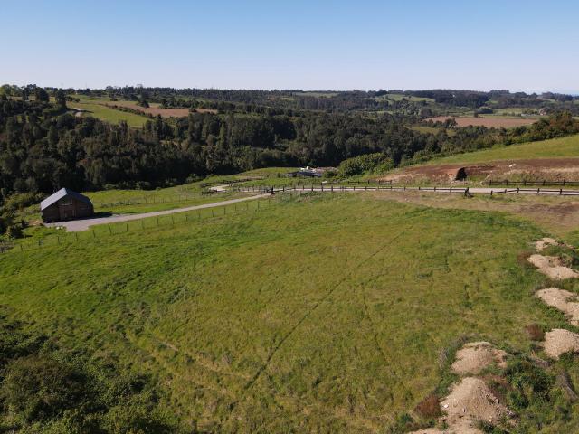 en FRUTILLAR