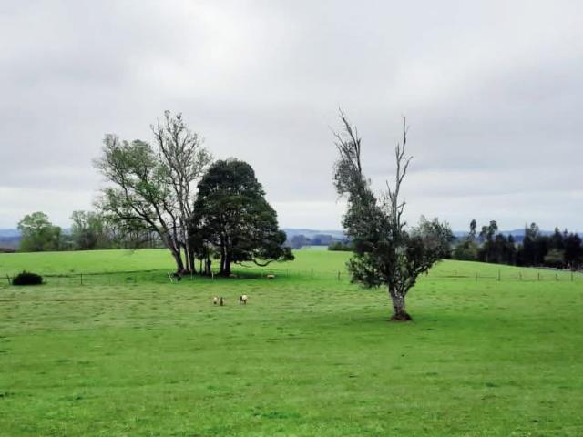 en FRUTILLAR