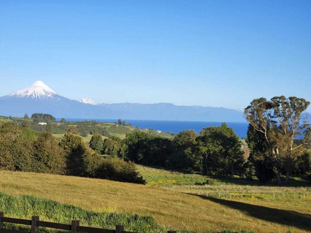 en FRUTILLAR