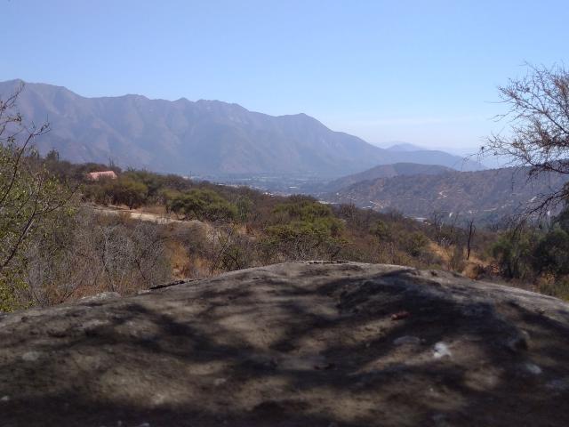en HIJUELAS