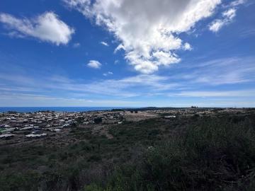 en LA LIGUA