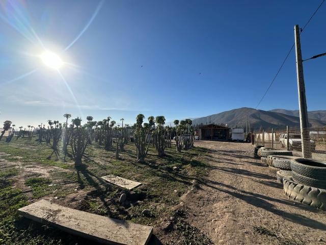 en LA SERENA