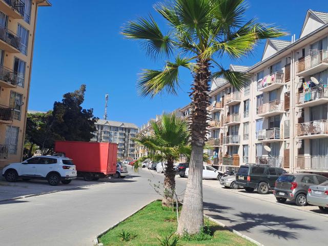 en LA SERENA