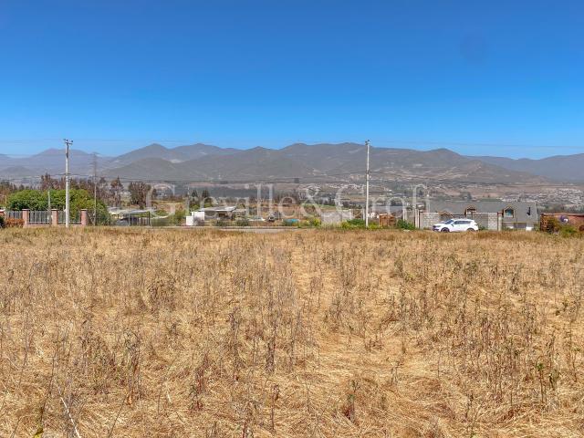 en LA SERENA