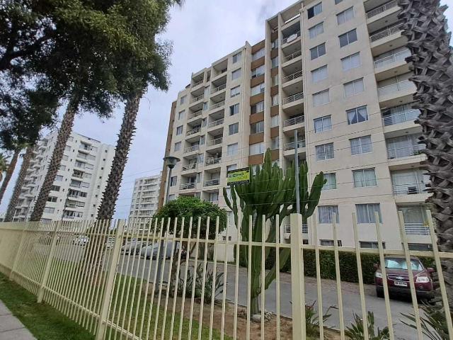 en LA SERENA